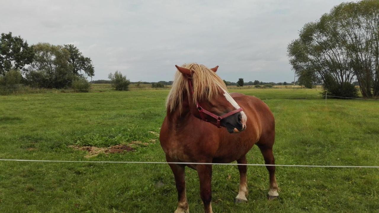 Dom w spokojnej okolicy Dubicze Cerkiewne Zewnętrze zdjęcie
